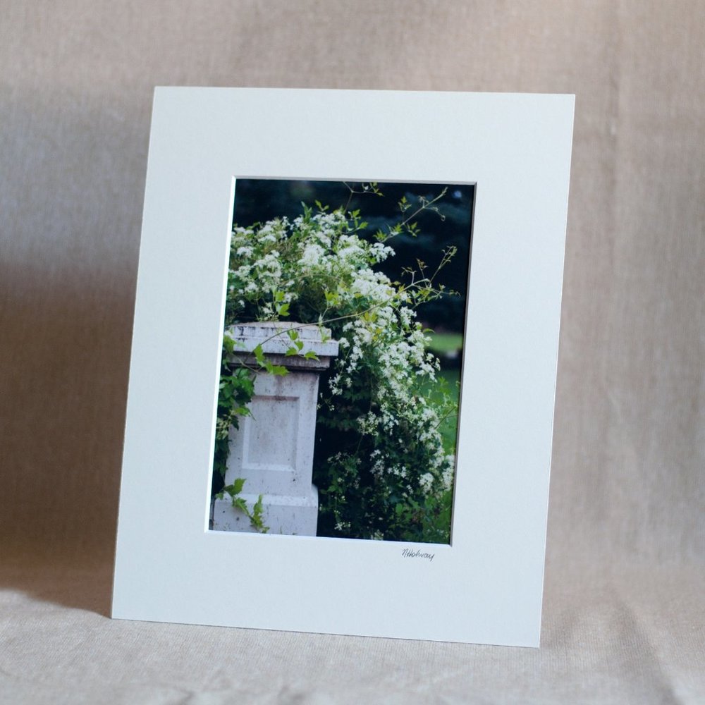 "Secret Garden" 5x7 Photography Print